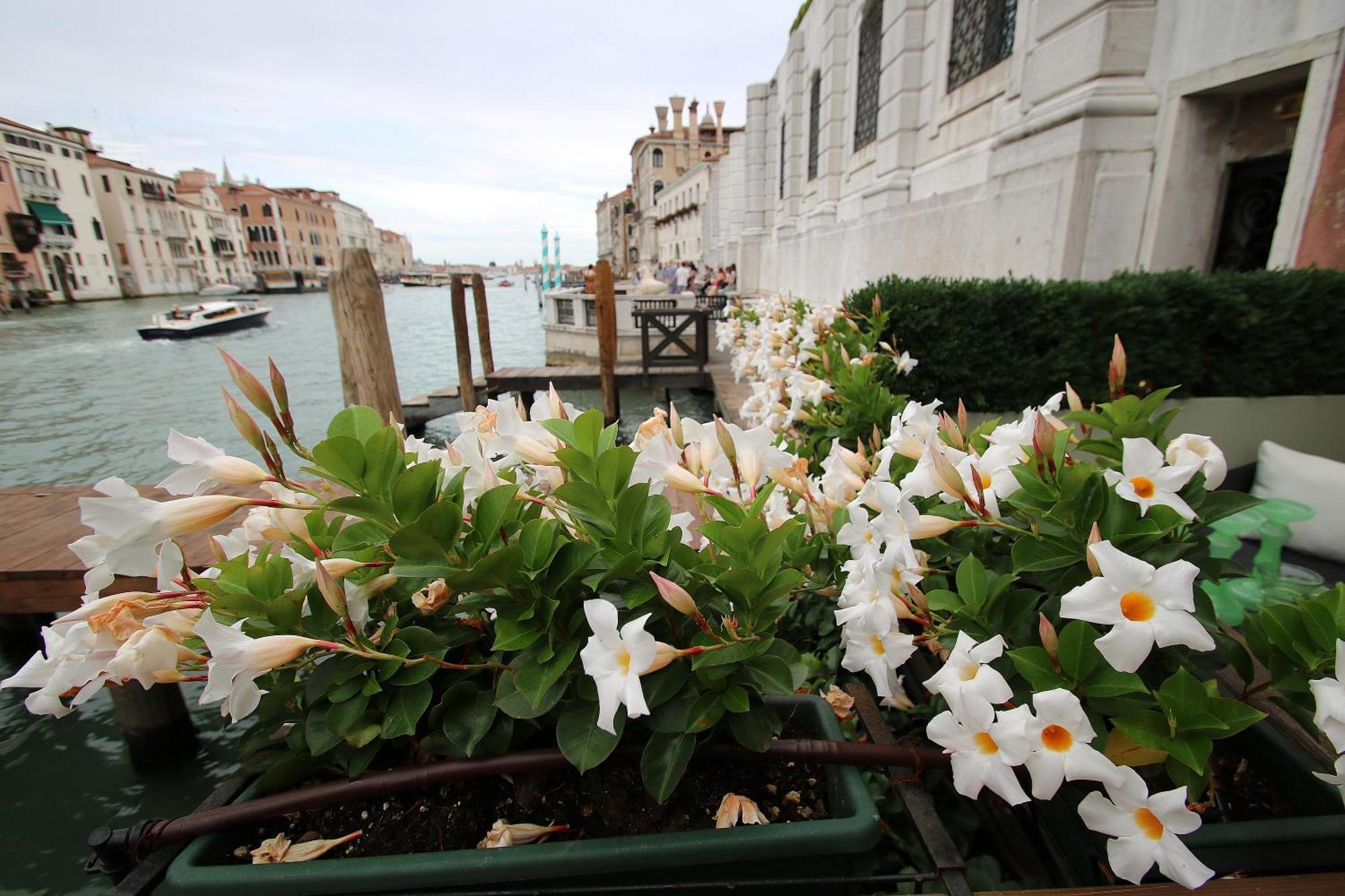 Grandelux-Canal - Bbc Venice Grand Tour 2024 Recorded Here! Екстер'єр фото